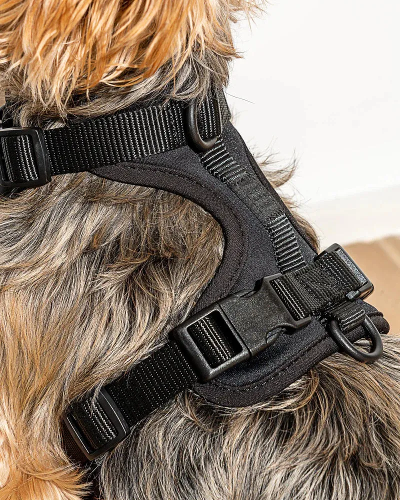 Comfort Pet Harness - SALE