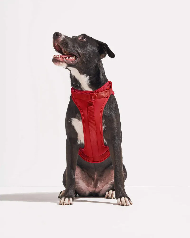 Comfort Pet Harness - SALE