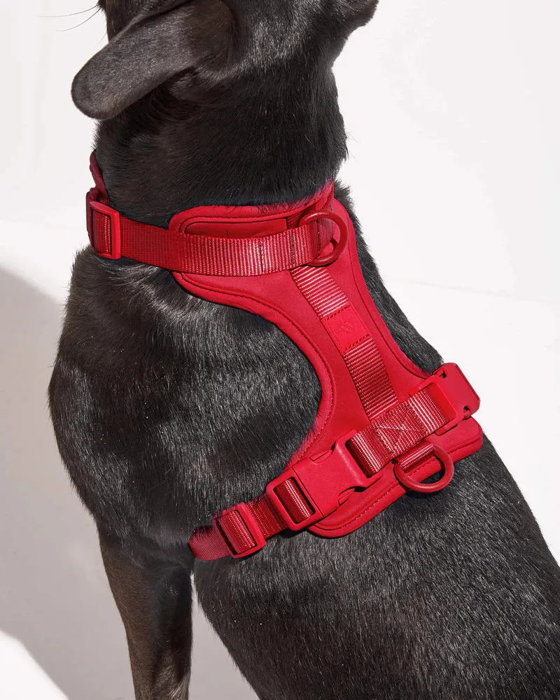 Comfort Pet Harness - SALE