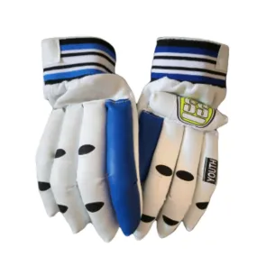 Cricket Batting Gloves (Color & Design May Vary)