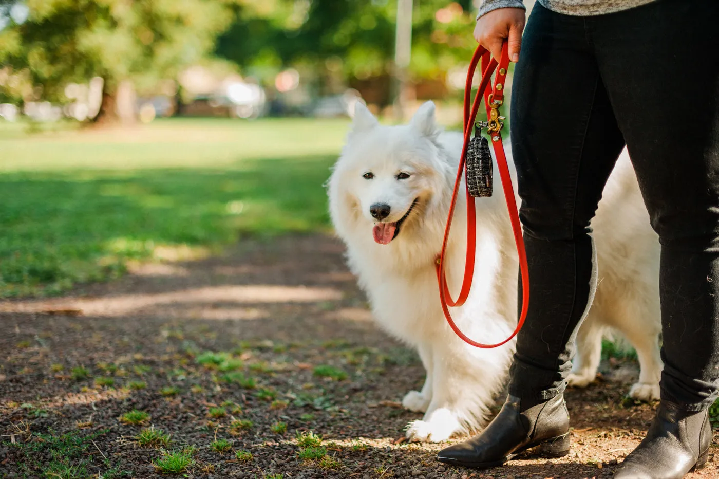 Proper Pup Poop Bag Dispenser