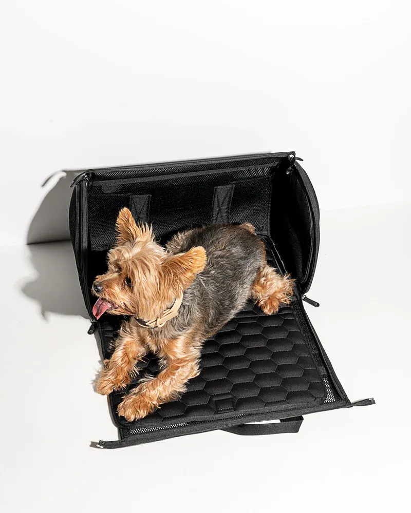 Wild One Airline Approved Travel Carrier for Dogs / Cats