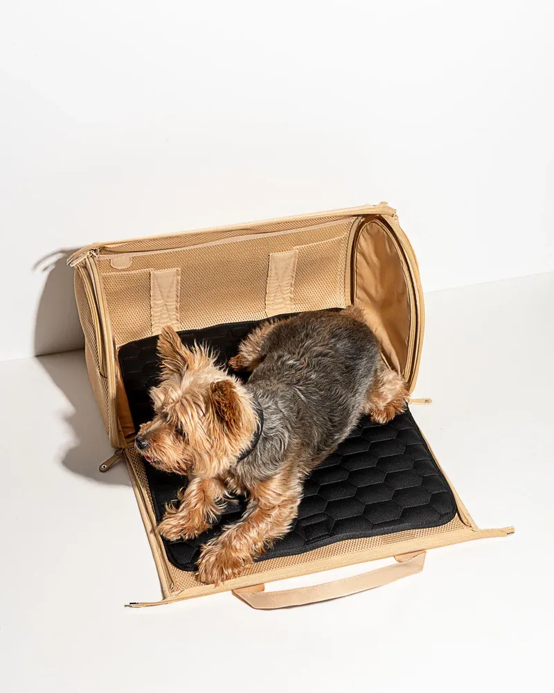 Wild One Airline Approved Travel Carrier for Dogs / Cats