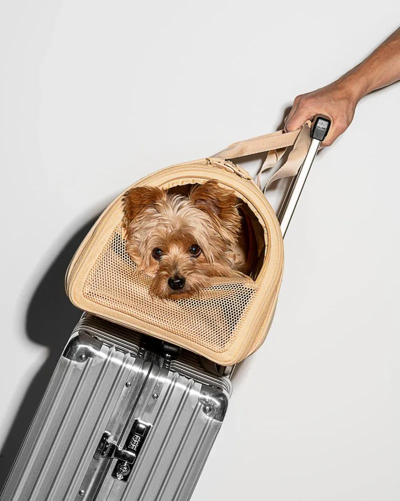 Wild One Airline Approved Travel Carrier for Dogs / Cats