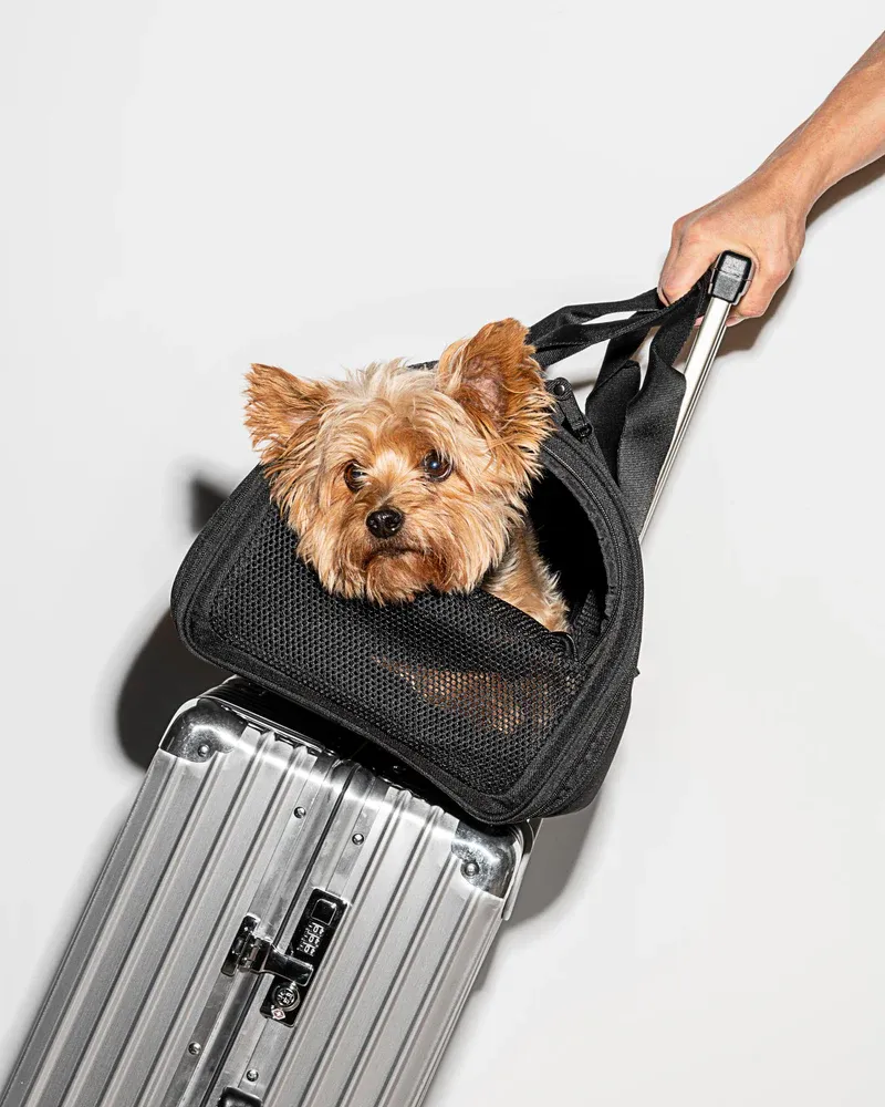 Wild One Airline Approved Travel Carrier for Dogs / Cats